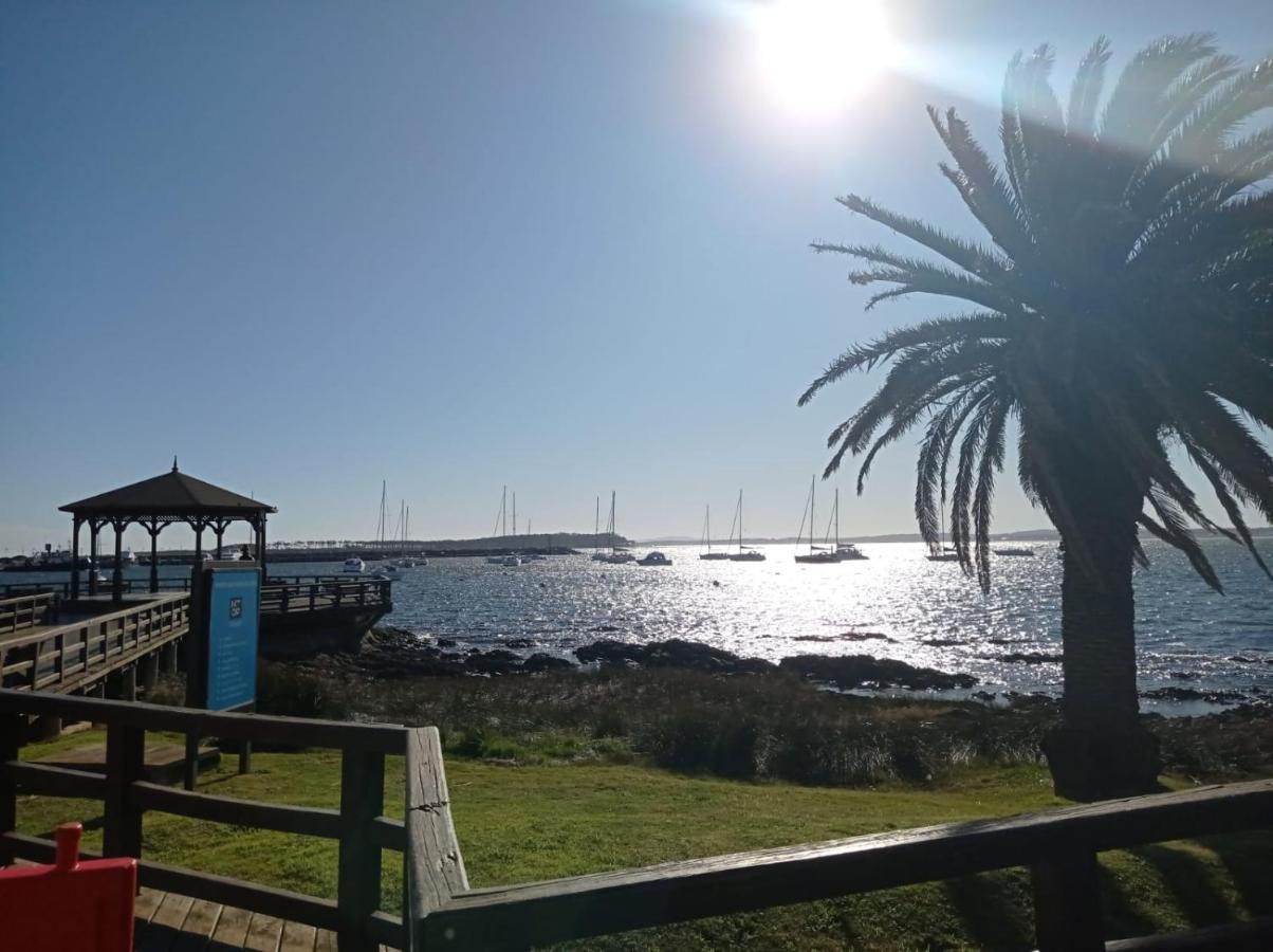 Punta Del Este Shelton Hotel Eksteriør billede