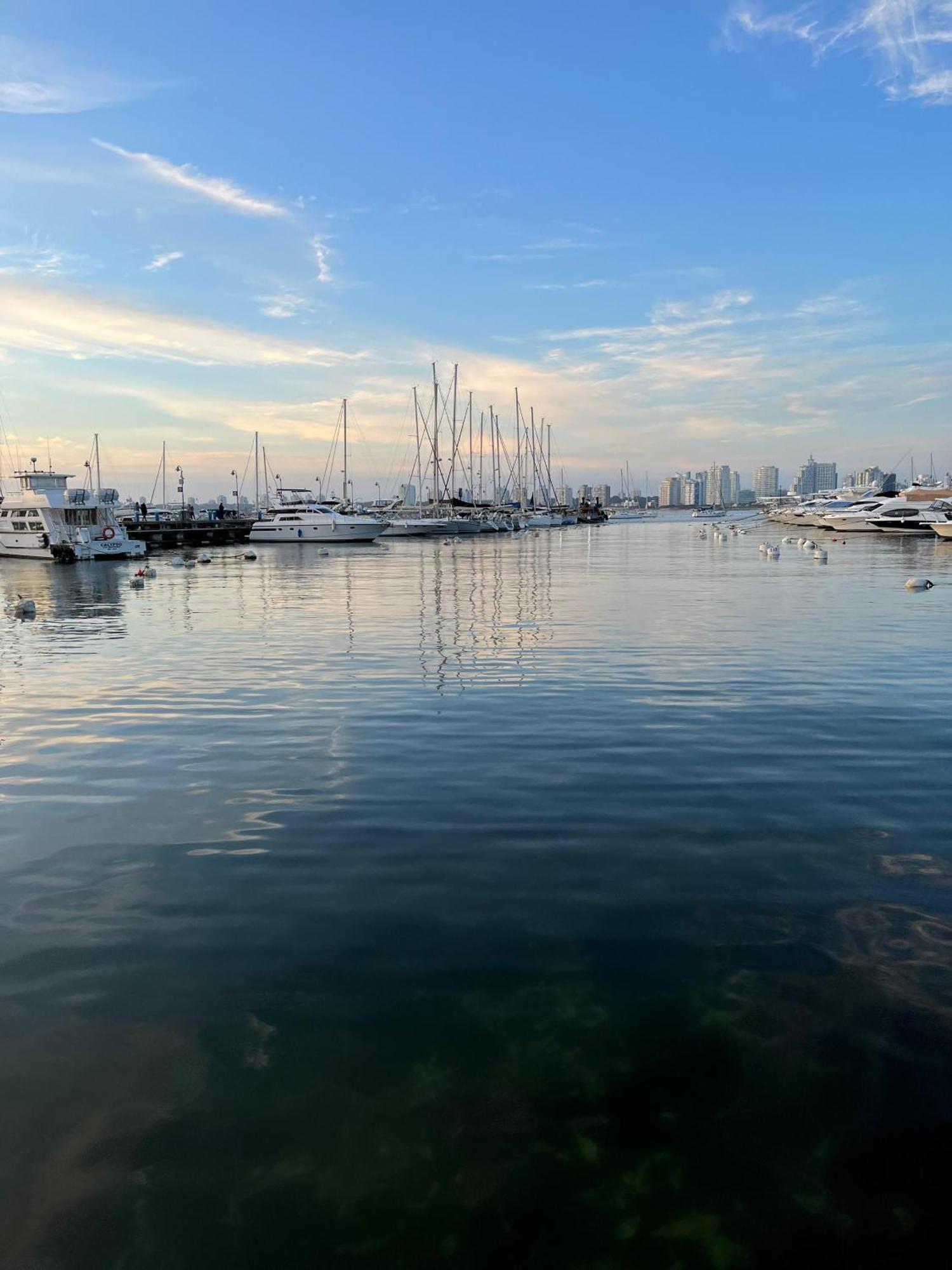 Punta Del Este Shelton Hotel Eksteriør billede